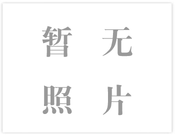 M、AH、HH型渣漿泵